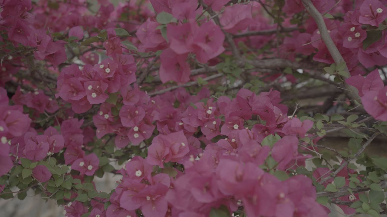 冰洞 1