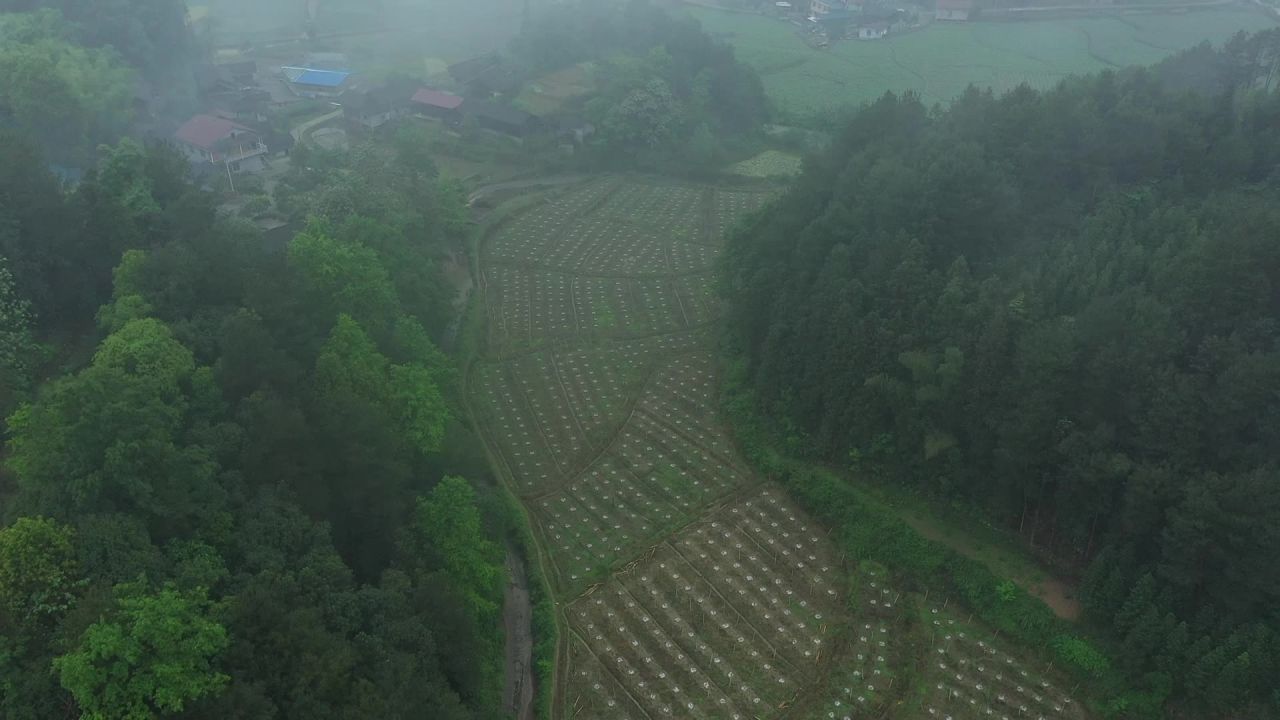 航拍烟雨缥缈的山村