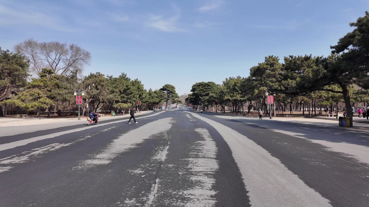 沈阳北陵公园 15