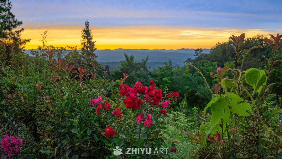 山间花海夕阳美景