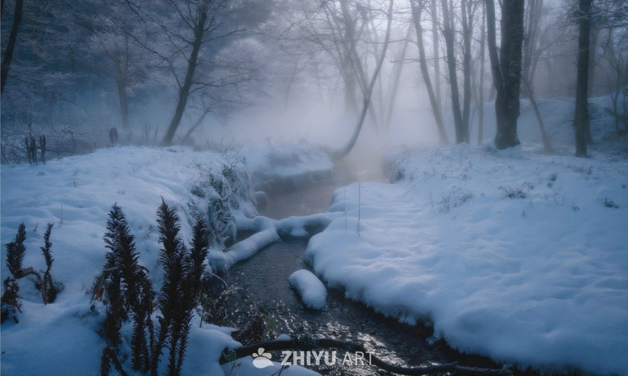 雪林溪语