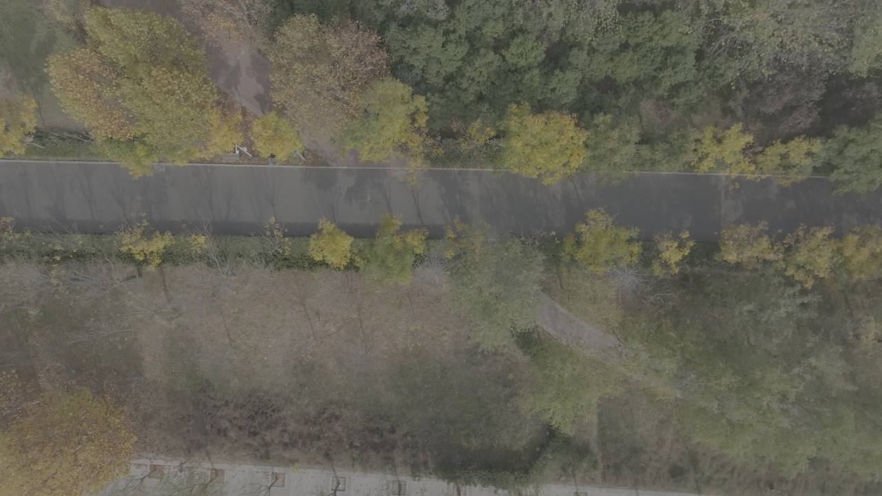 秋日林荫道