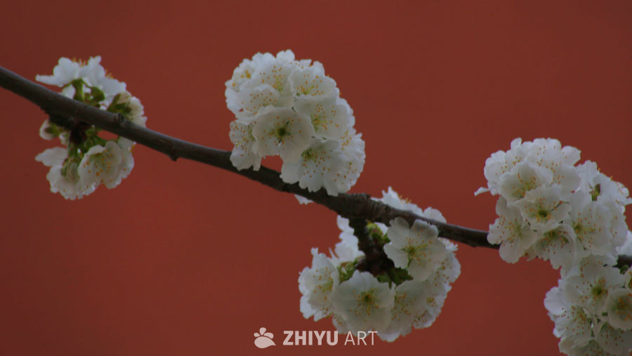 花团