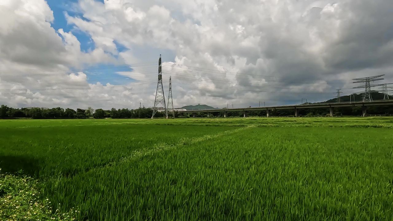 稻田高铁行驶