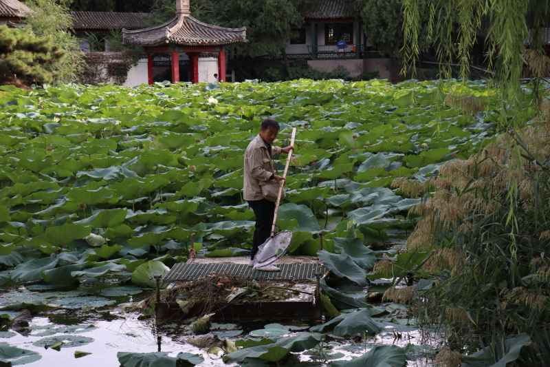 春游随拍1 7