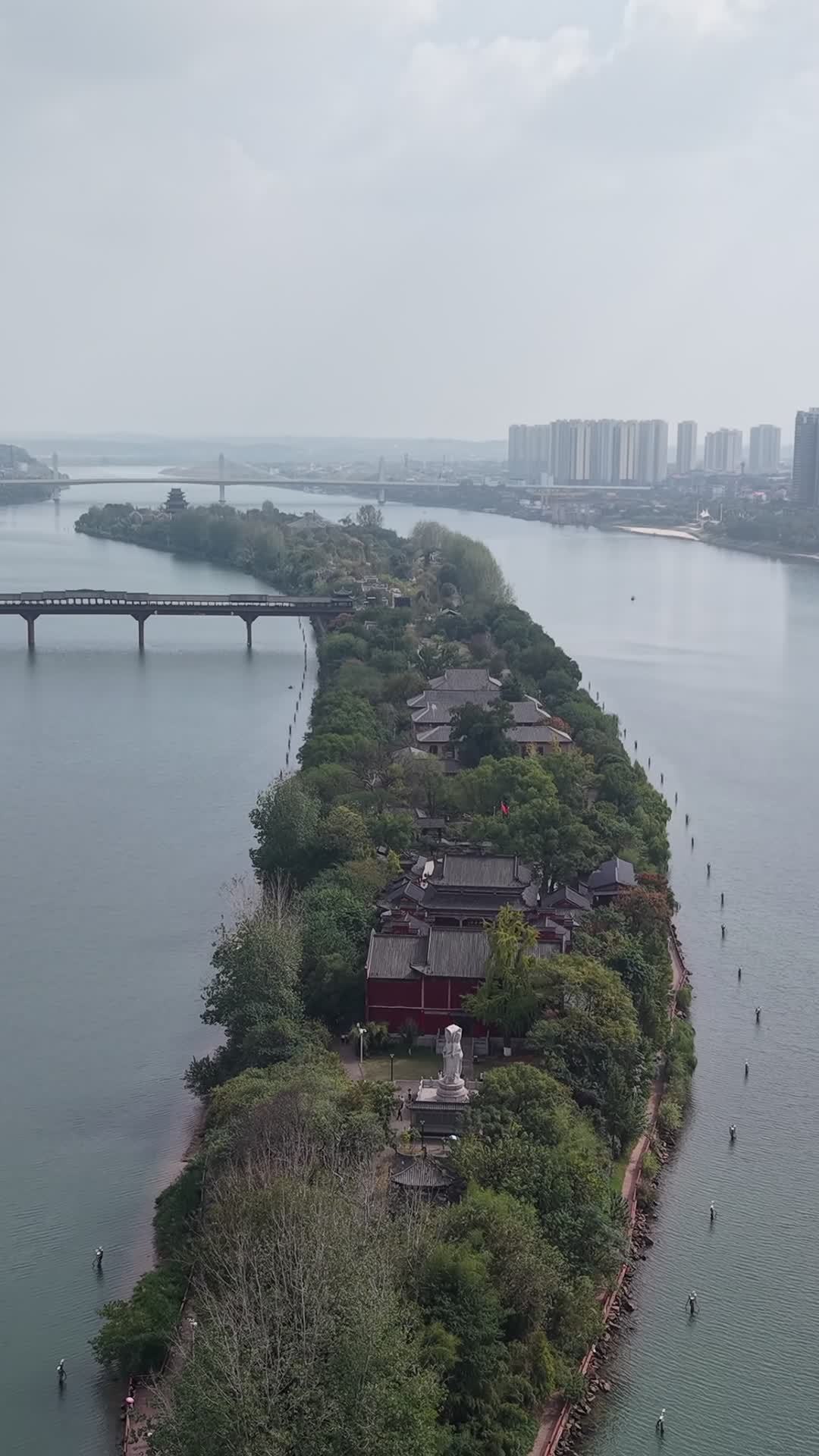 江畔绿岛静谧景
