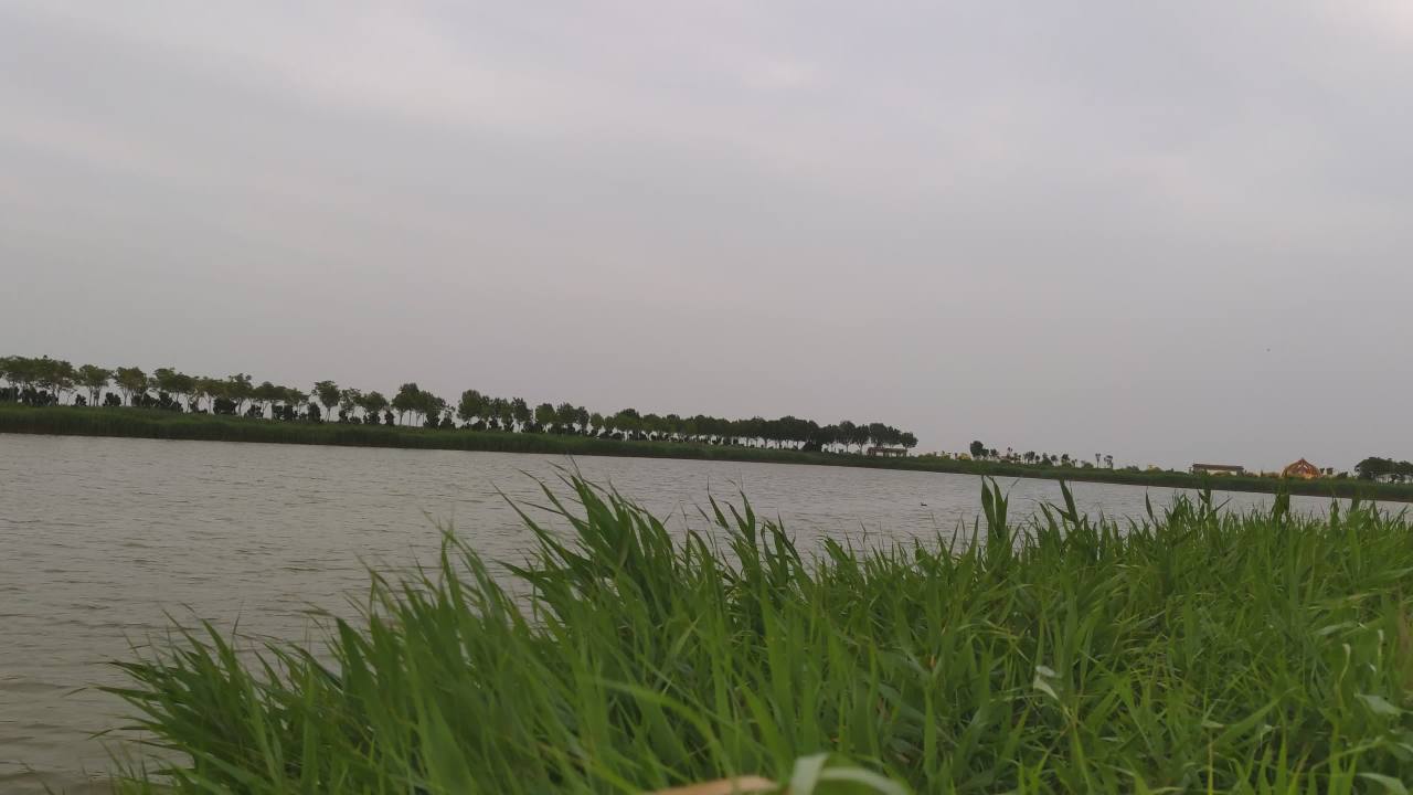 湿地 15
