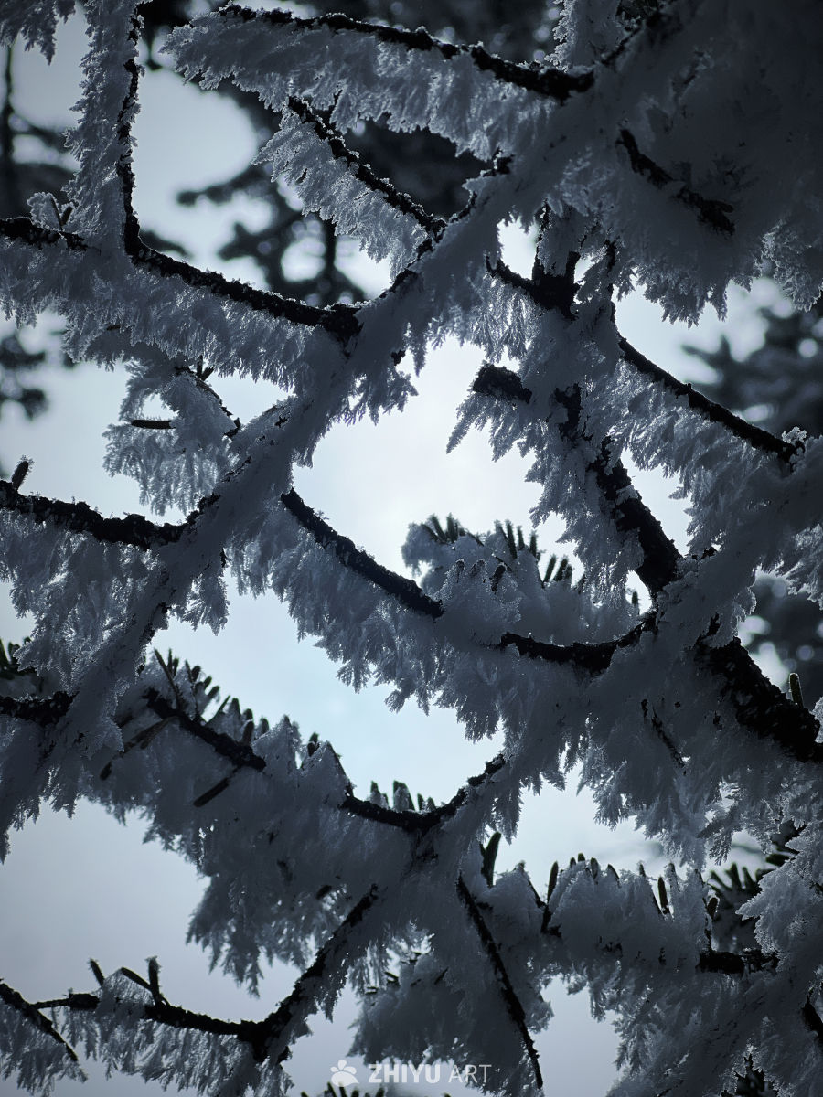 身体和灵魂总有一个在路上