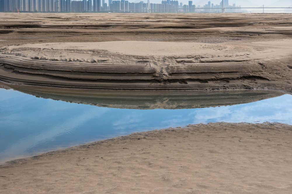 武汉天兴洲湿地