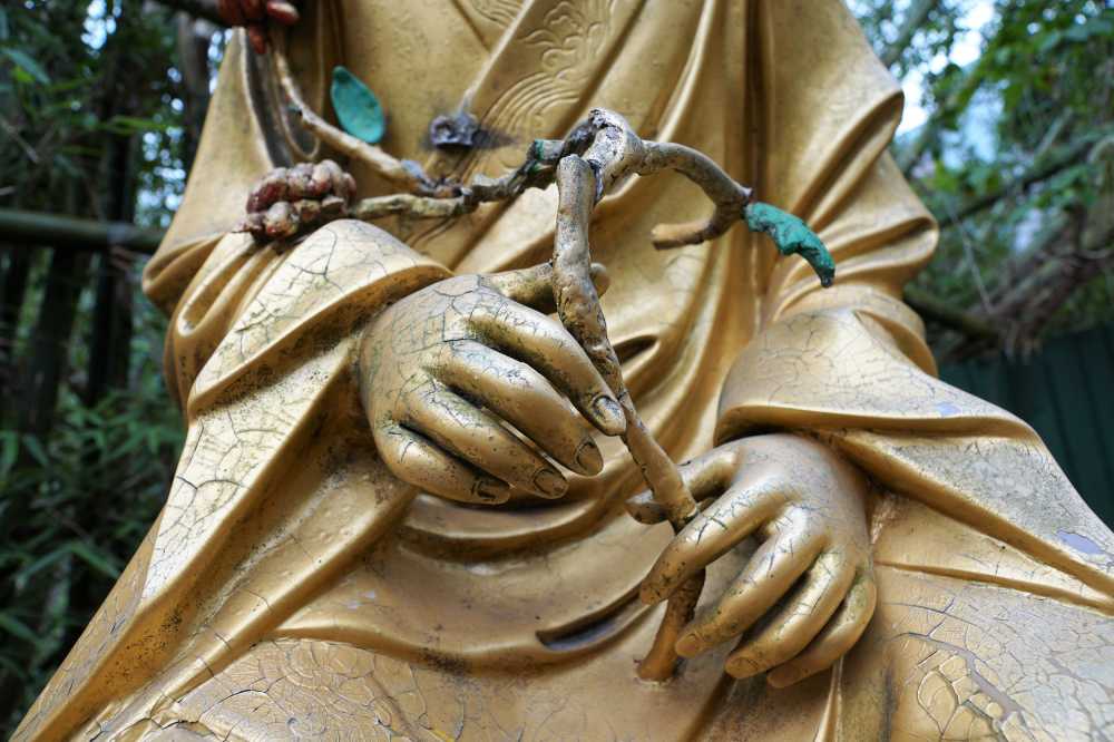 黄金佛雕像冥想