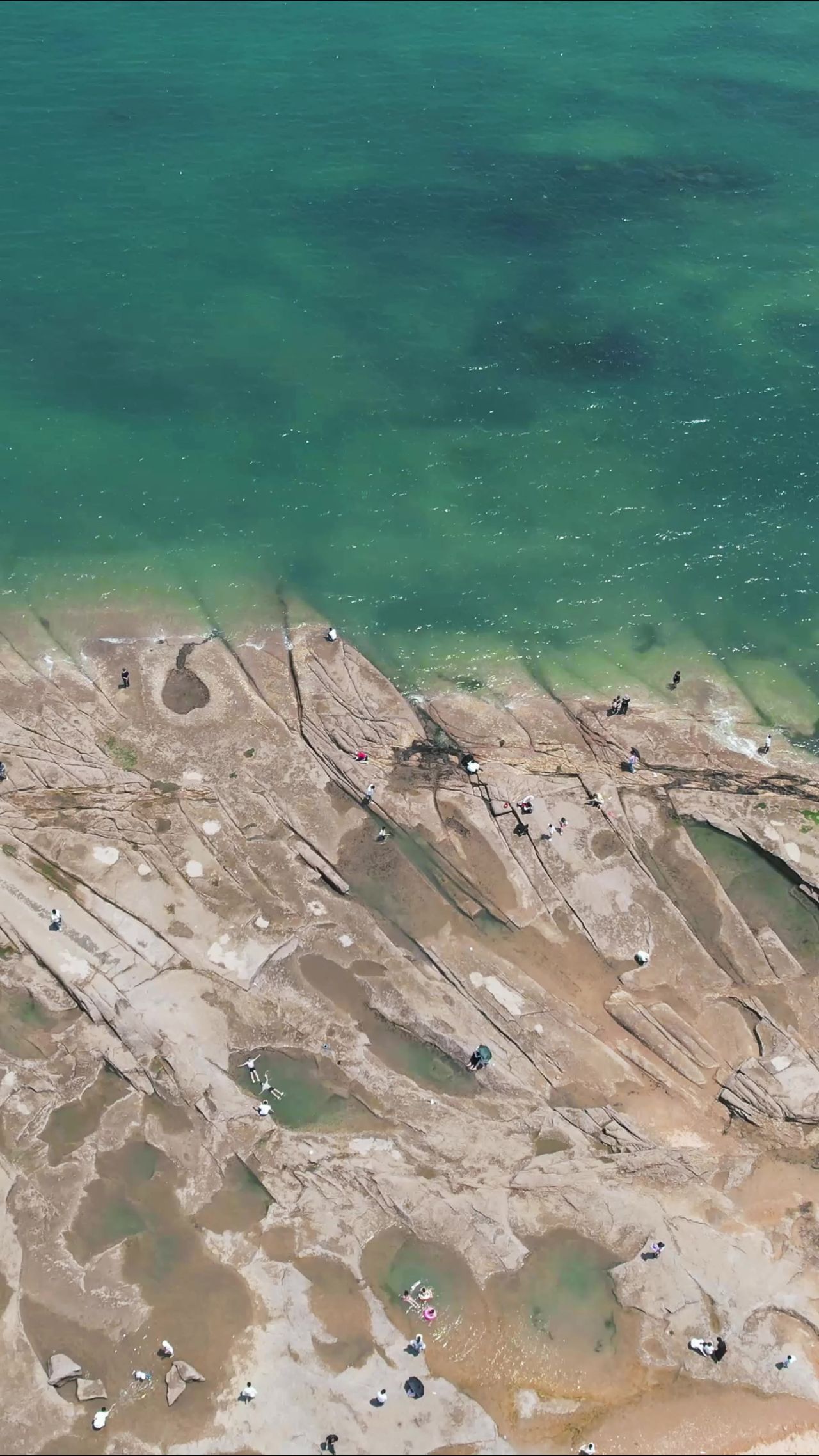 大海海浪沙滩礁石竖屏航拍 
