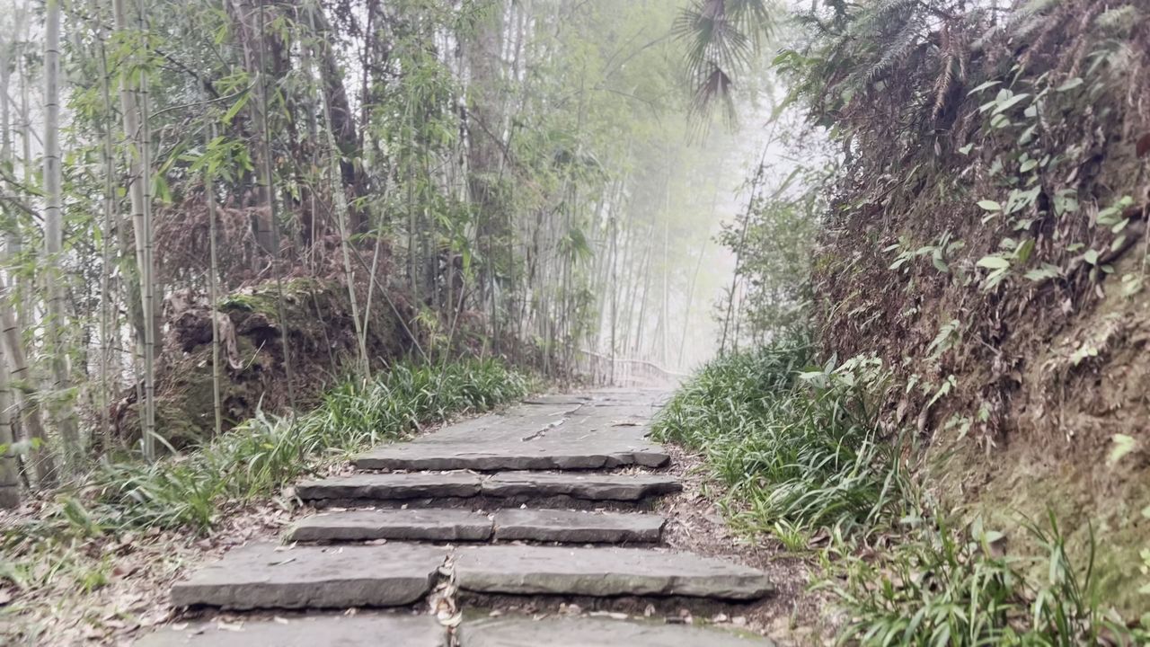 桃花源景区