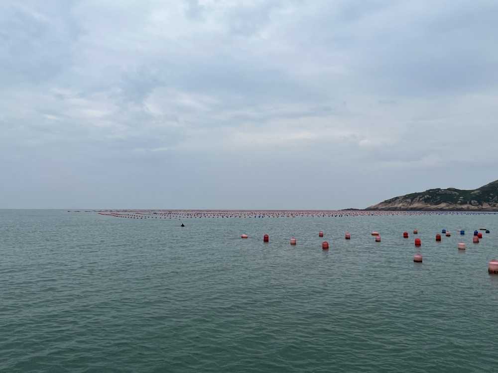 霞浦海上生蚝养殖