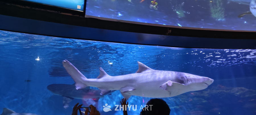 海洋馆 20
