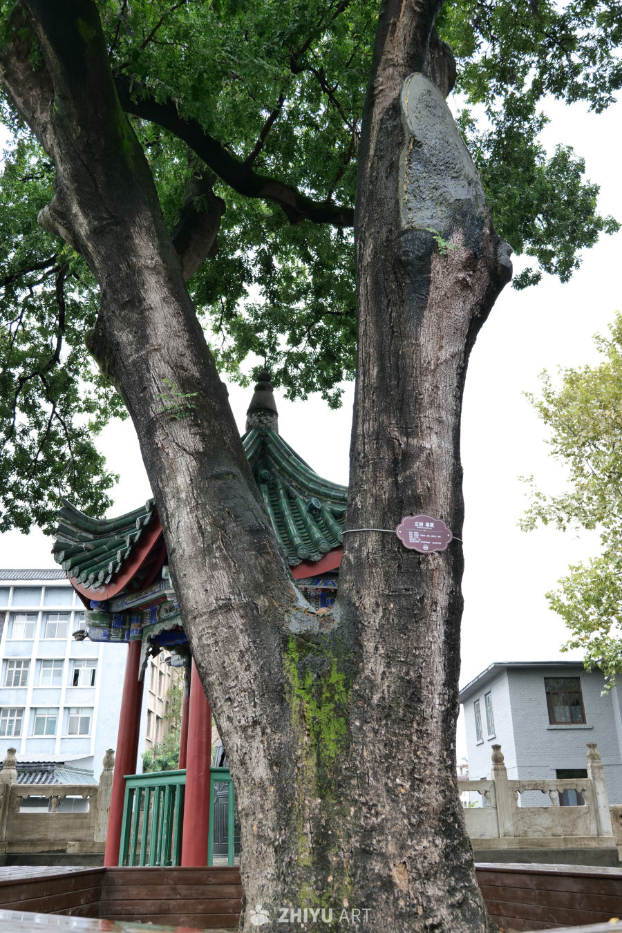 博物馆 13