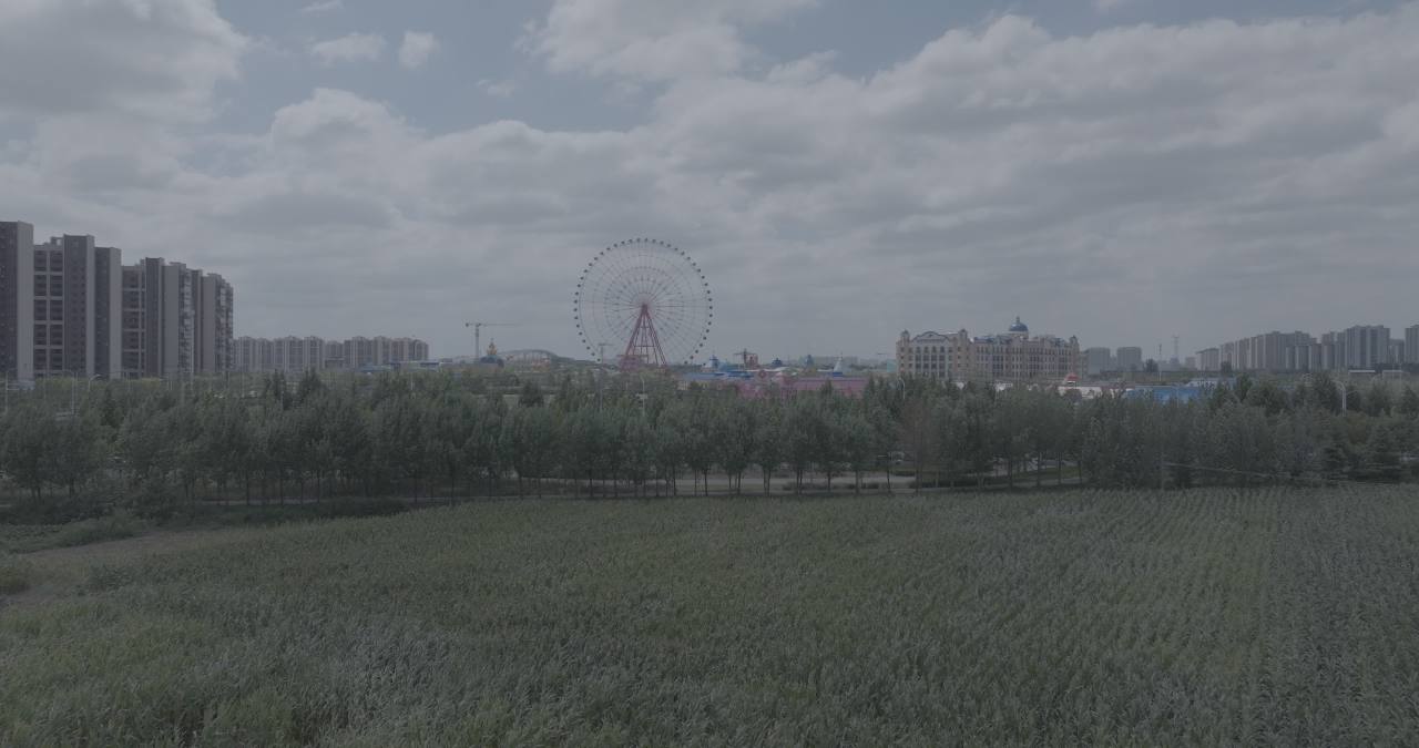 城市公园全景
