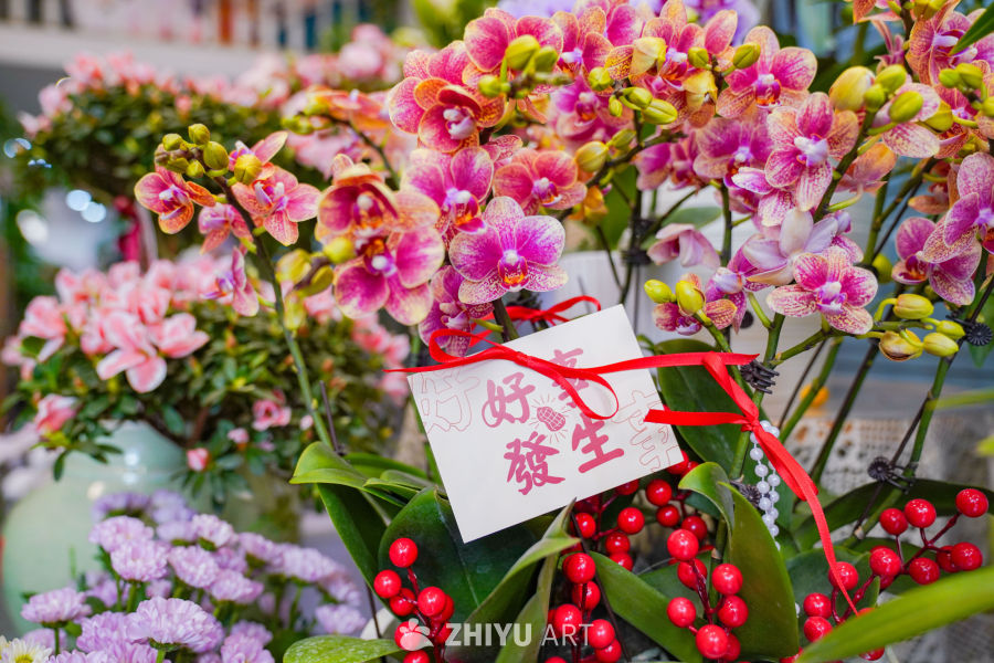 新春花店里的美好 4