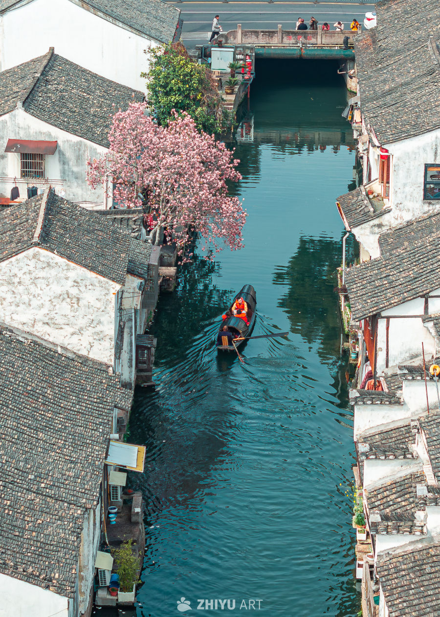 春日绍兴，船摇花影