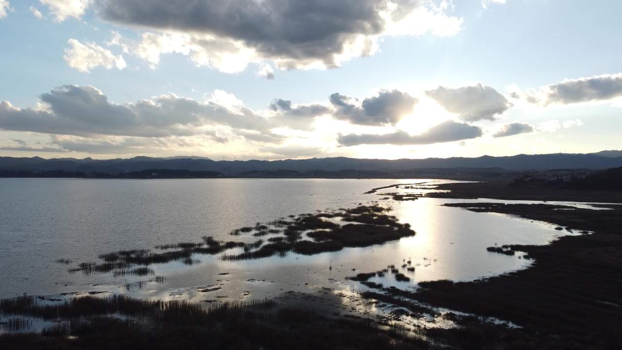 草海 5