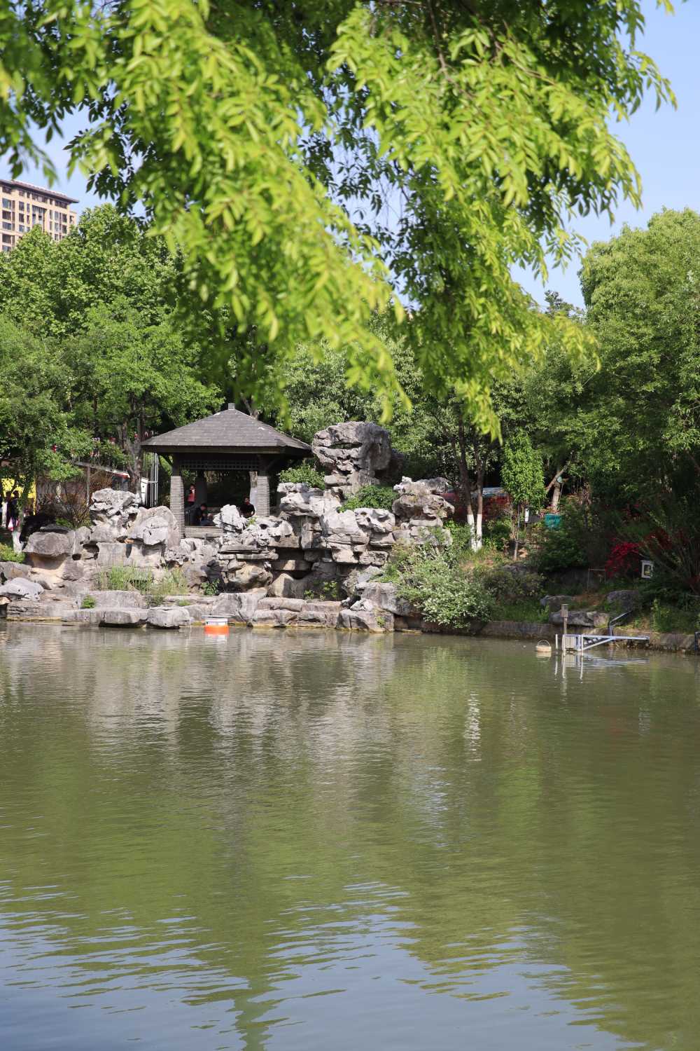 常州凤凰公园湖边眺望对岸假山与凉亭