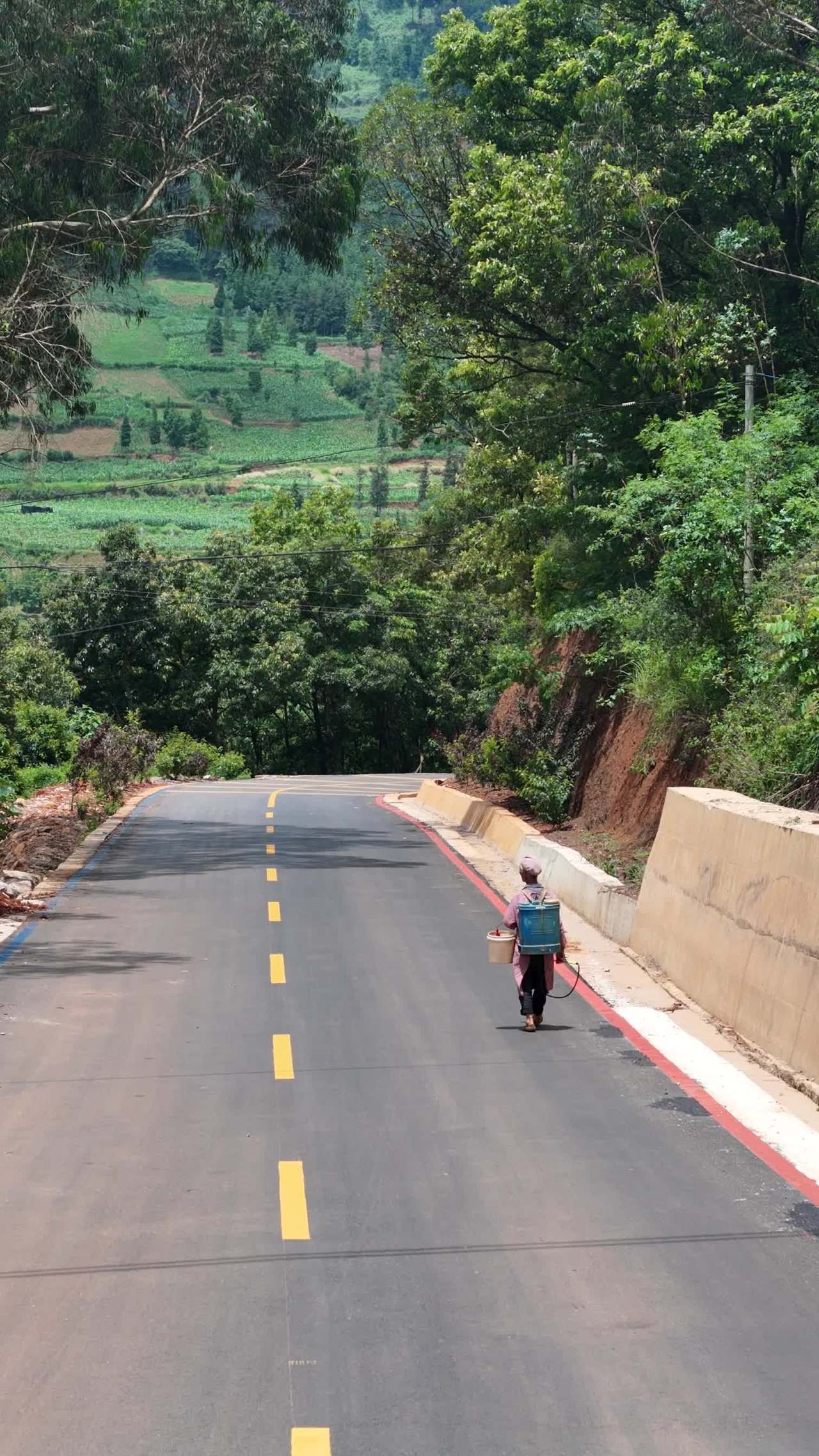 乡村道路上的农民