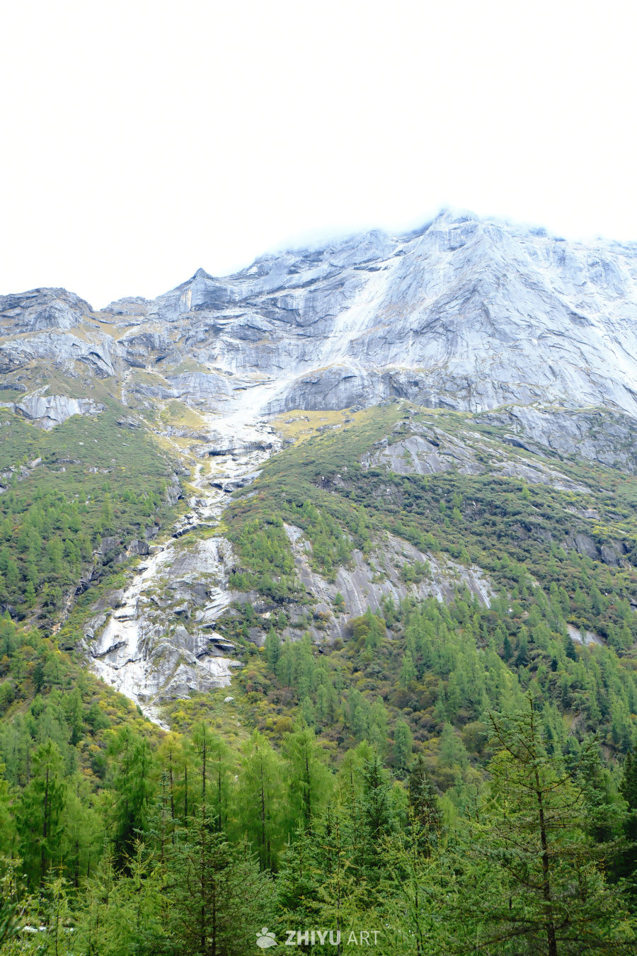 四姑娘山风景