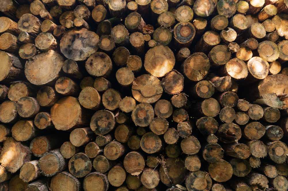 木材堆栈柴林业