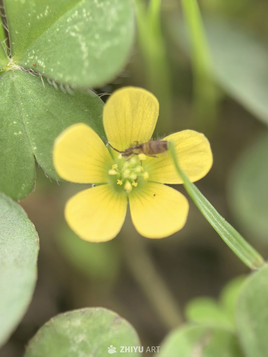 我的世界大于这世界