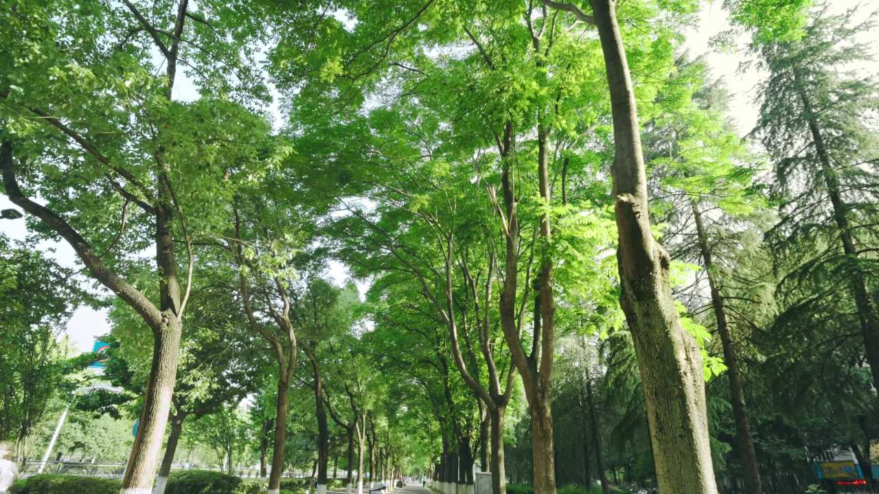 宜昌江边 84