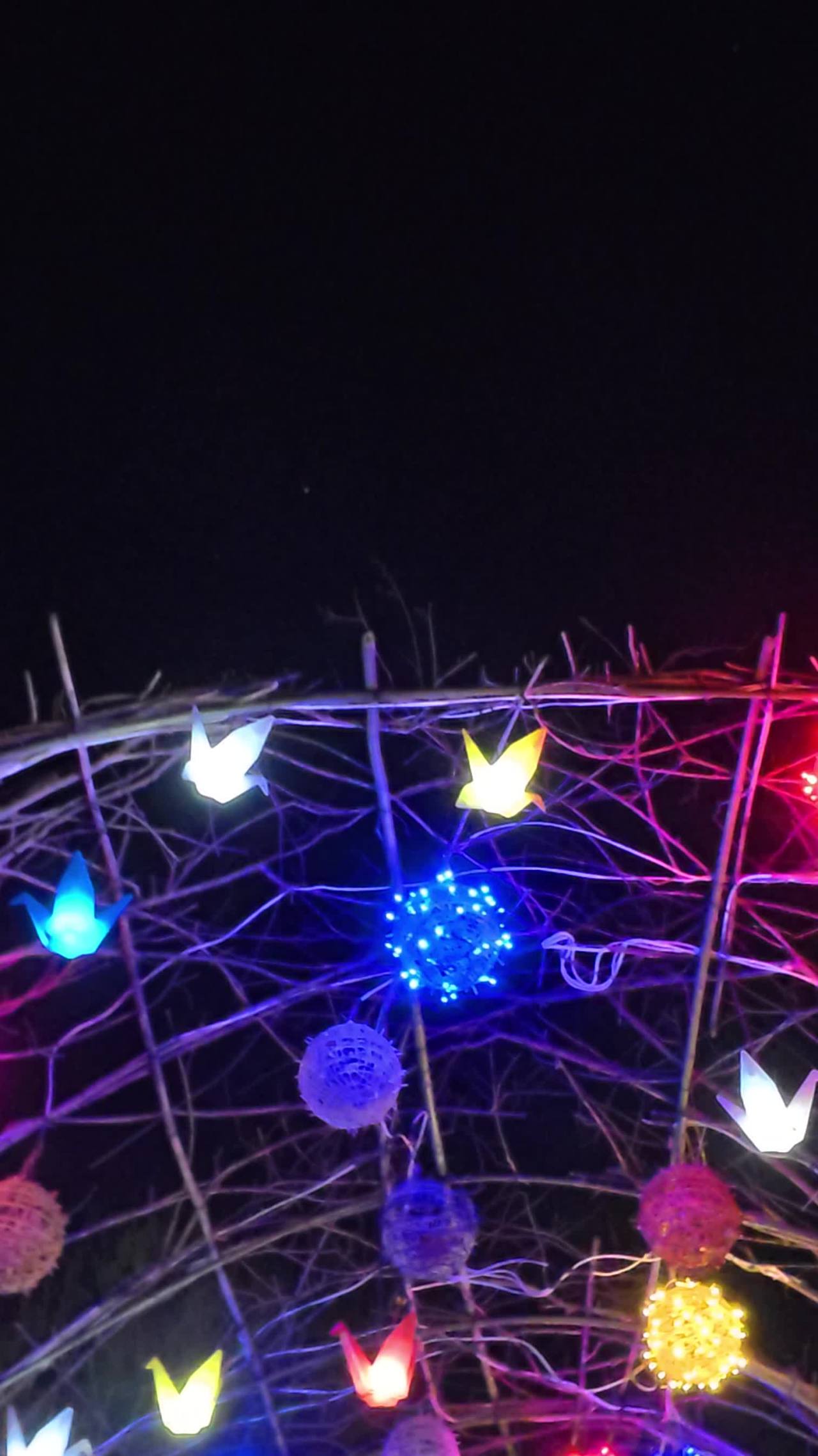 夜空下的灯光秀