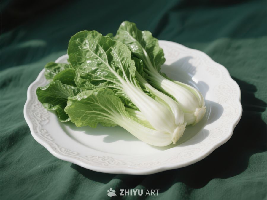 新鲜白菜置于白色盘中 417