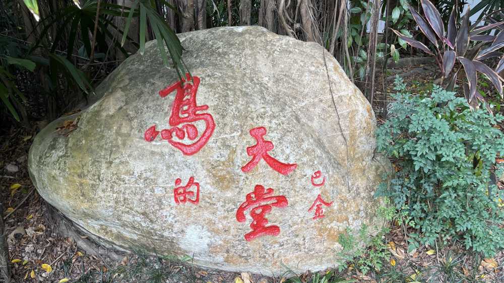 鸟的天堂
