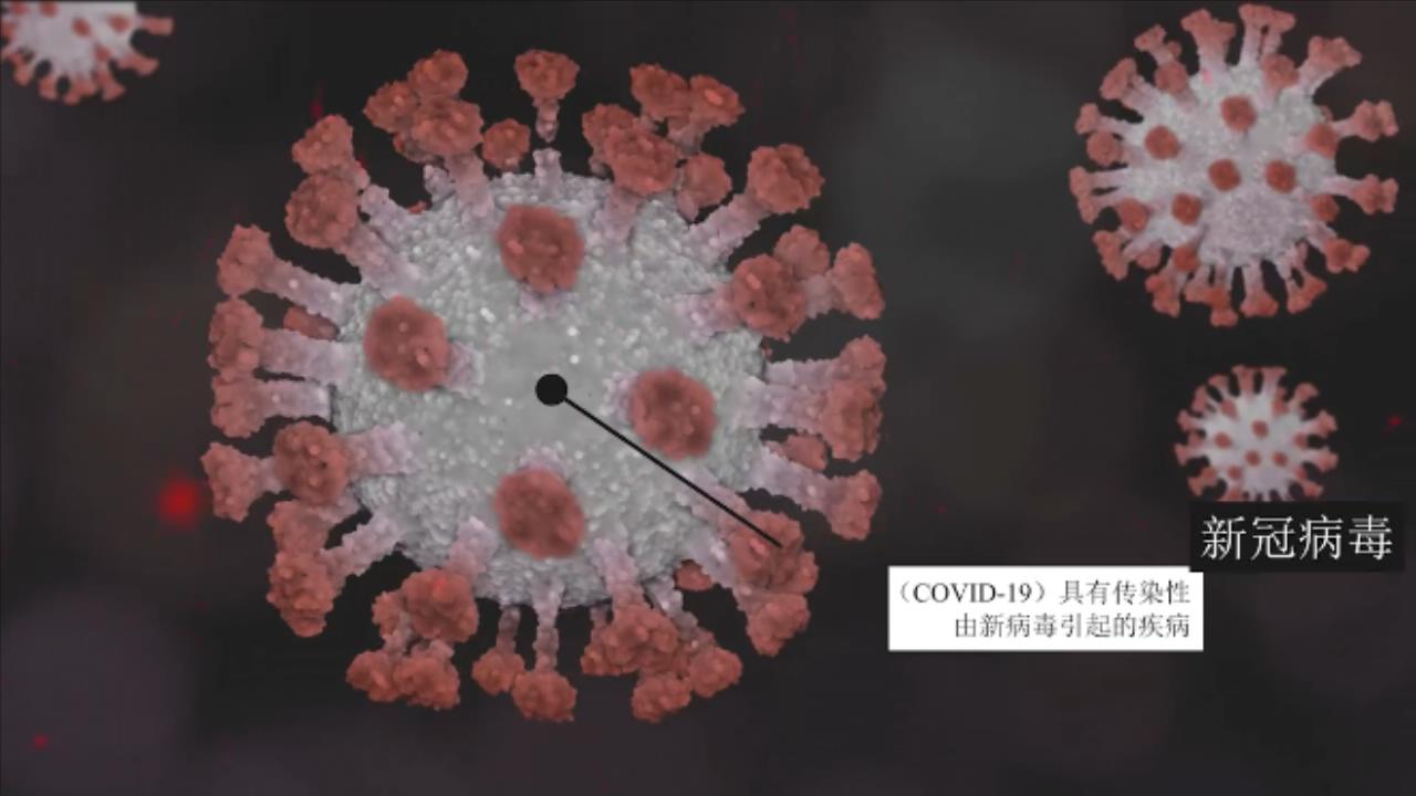 生物学 动画 新冠病毒 血液 疾病 脱氧核酸 细胞 细菌