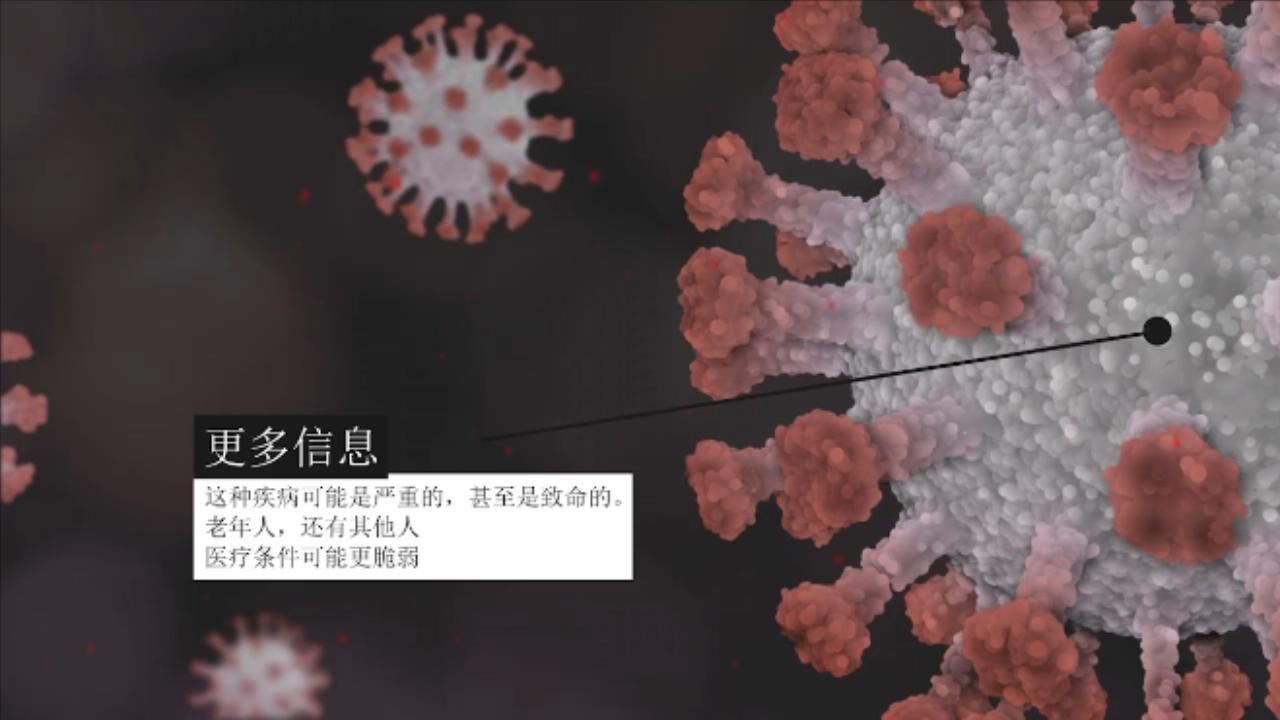 生物学 动画 新冠病毒 血液 疾病 脱氧核酸 细胞 细菌