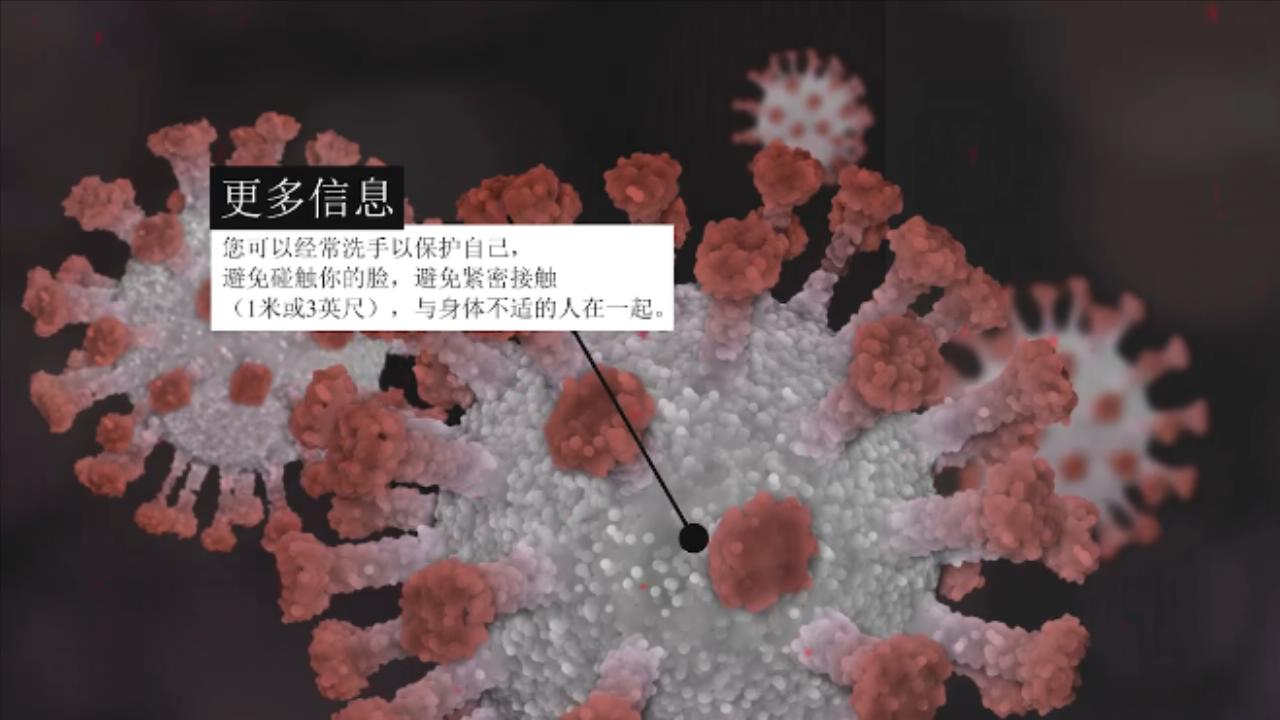 信息 生物学 动画 新冠病毒 血液 疾病 脱氧核酸 细胞
