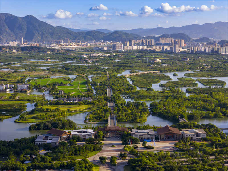 温州三垟湿地 4