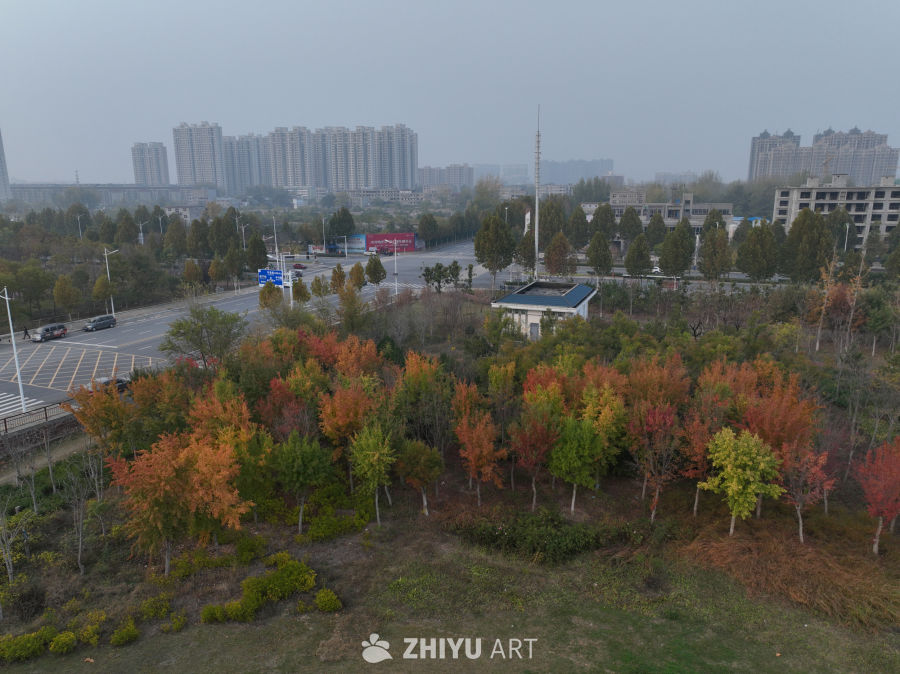 城市秋景