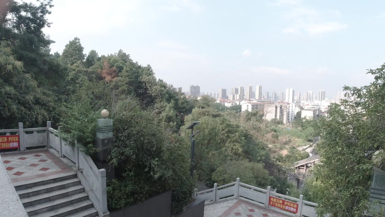 公园 24