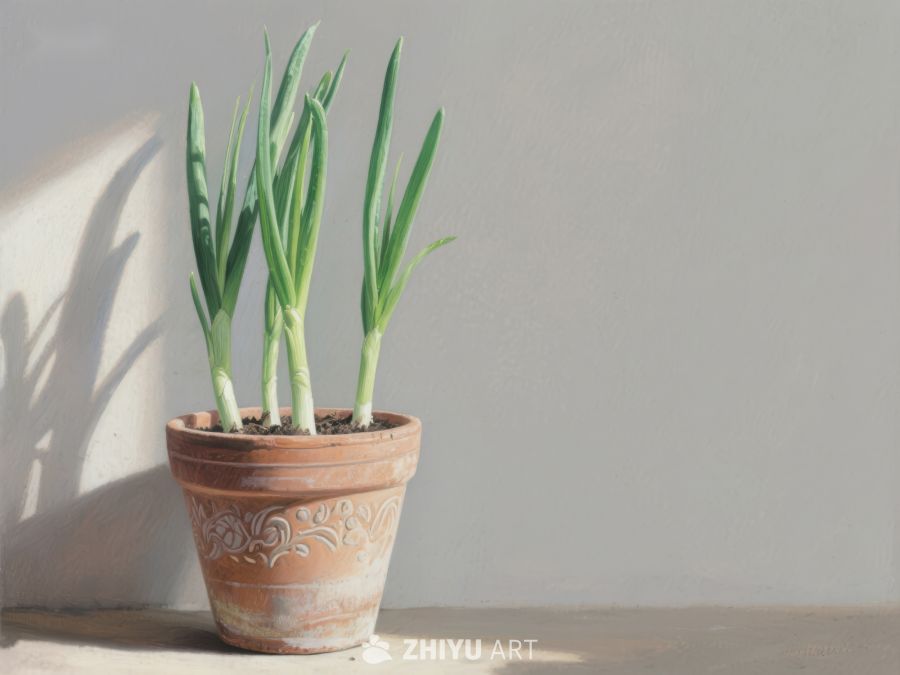 盆栽绿植在阳光下的静谧景象 286