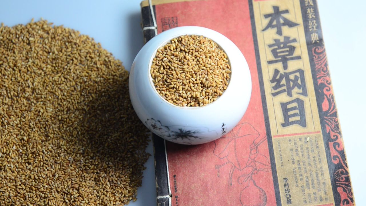 中药柏子仁 4