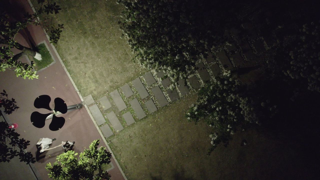 夜晚绣球花 2