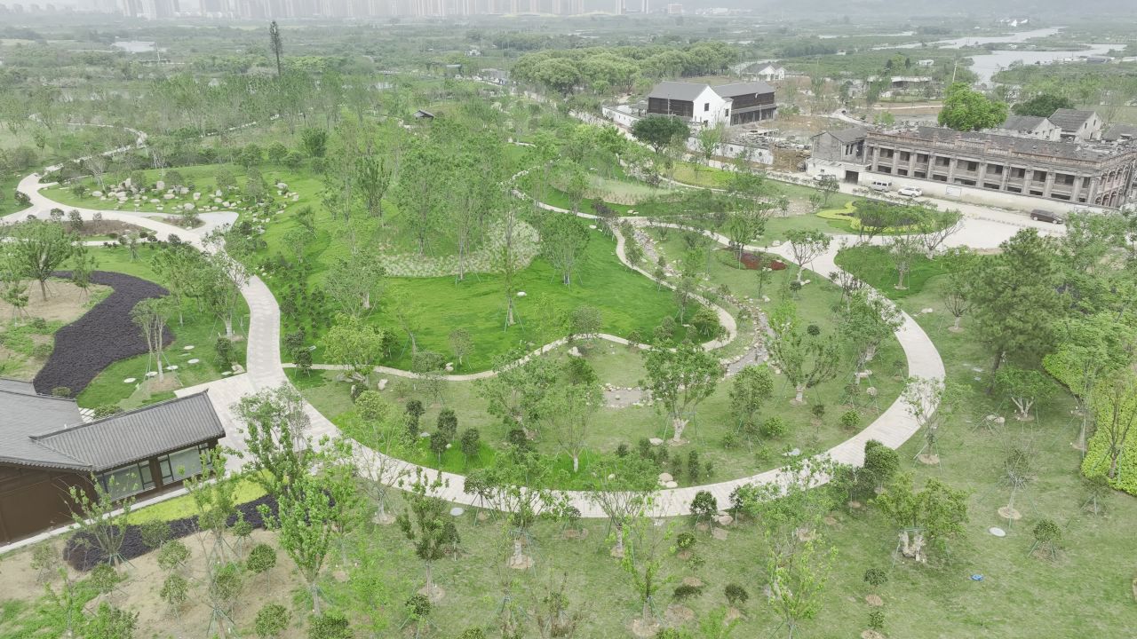 温州三垟湿地东入口航拍景观 16