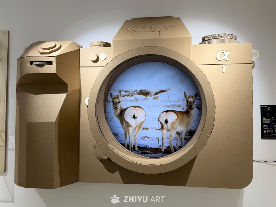 奚志农老师摄影展 在他大理的家 8