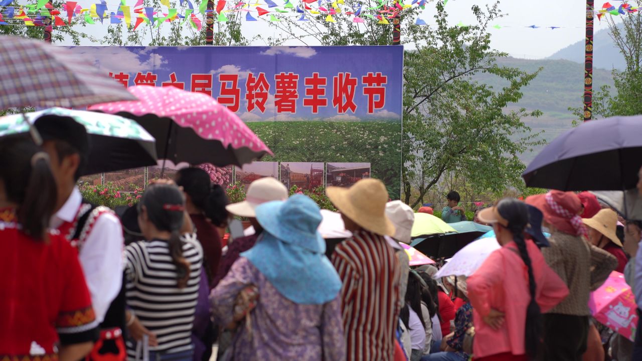 丰收 46