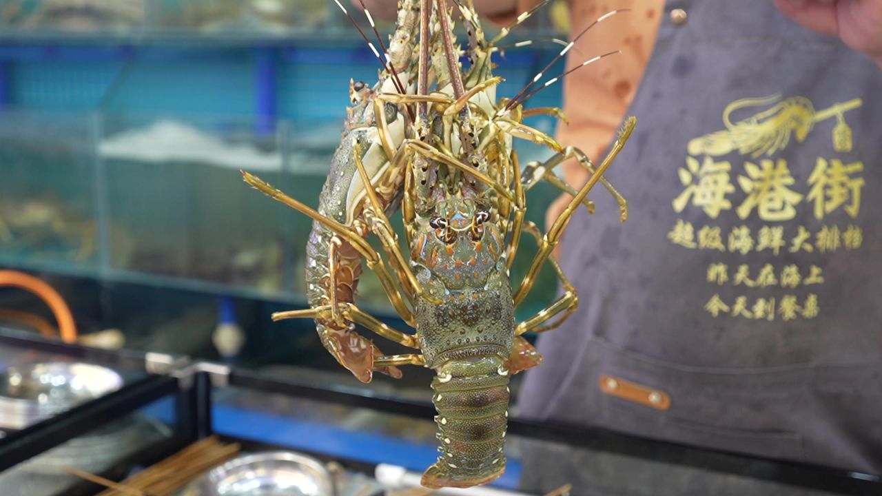 小青龙