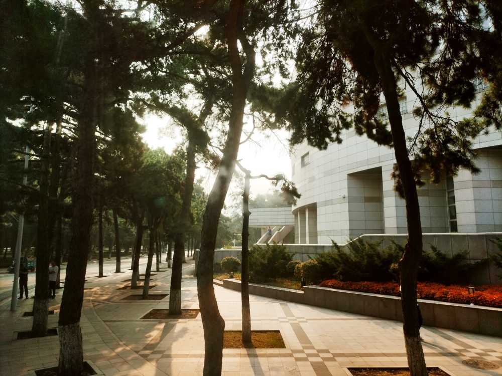 东北大学风景