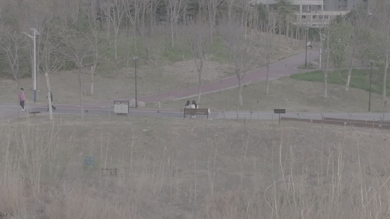 城市公园的宁静时光