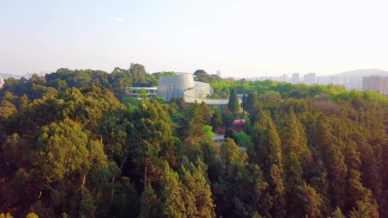 昆明植物园-8 8