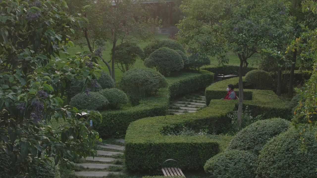 林间小道