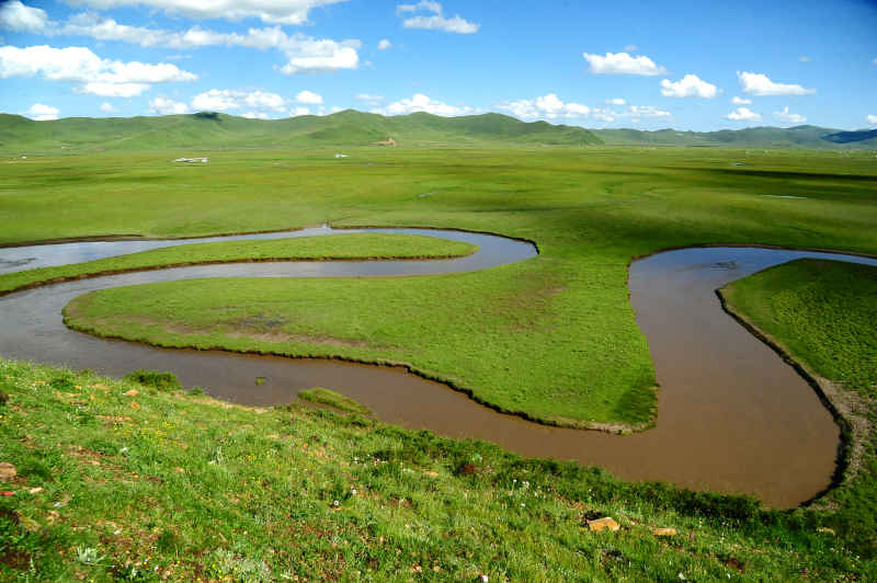 川西阿坝草原湿地的蜿蜒河曲